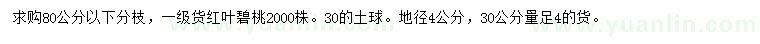 求購30公分量地徑4公分紅葉碧桃