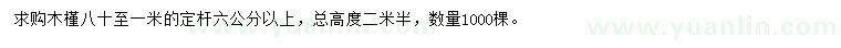 求購80-100公分木槿