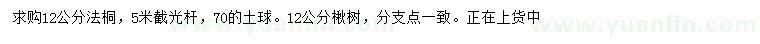 求購(gòu)12公分法桐、楸樹(shù)