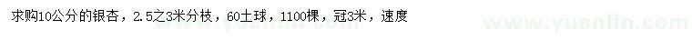 求購10公分銀杏