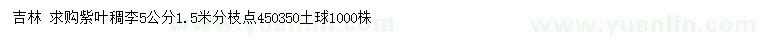 求購5公分紫葉稠李
