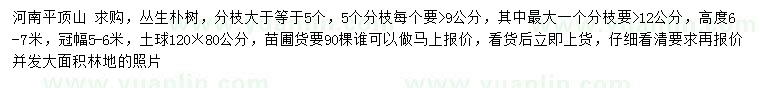 求購高6-7米叢生樸樹