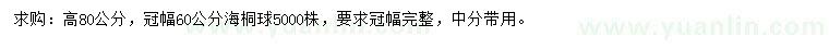 求購冠幅60公分海桐球