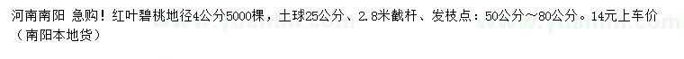 求購地徑4公分紅葉碧桃