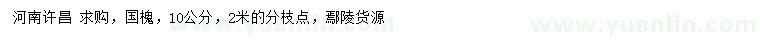 求購10公分國槐