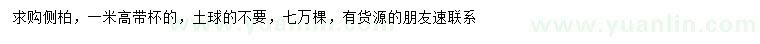 求購高1米側(cè)柏