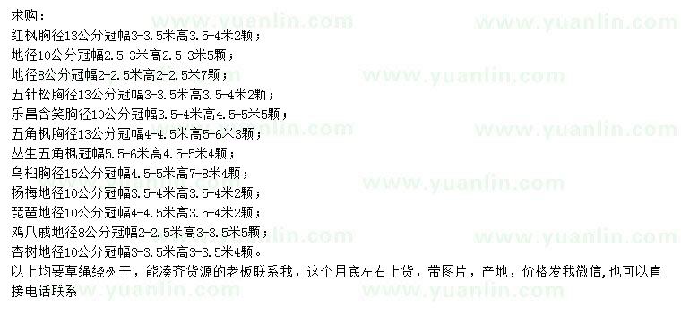 求購(gòu)紅楓、五針?biāo)?、樂昌含笑? />
                        <br />
                        <label style=