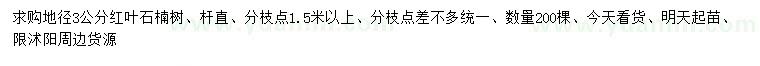 求購地徑3公分紅葉石楠