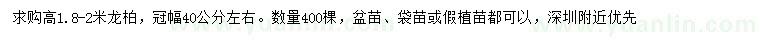 求購高1.8-2米龍柏