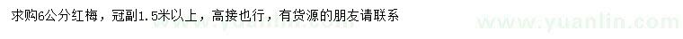 求購6公分紅梅