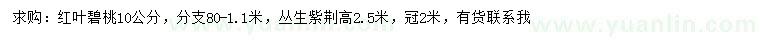 求購10公分紅葉碧桃
