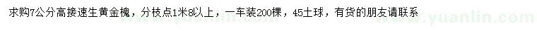 求購7公分高接速生黃金槐