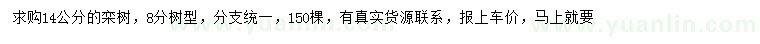 求購(gòu)14公分欒樹(shù)