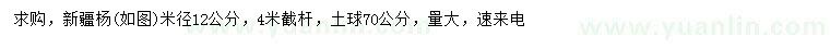 求購米徑12公分新疆楊