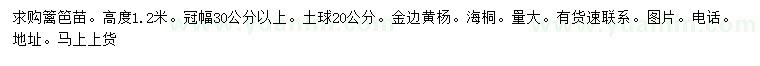 求購(gòu)高度1.2米金邊黃楊、海桐