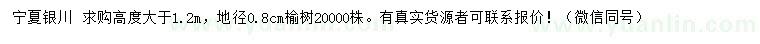 求購地徑0.8公分榆樹
