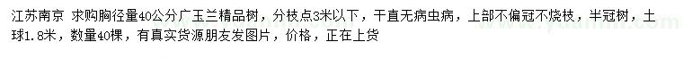 求購胸徑量40公分廣玉蘭