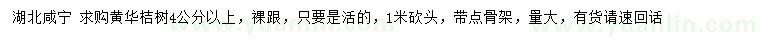 求購(gòu)4公分以上黃華桔樹(shù)
