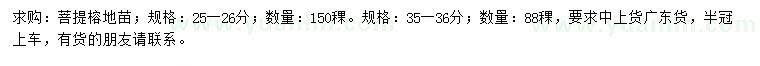 求購(gòu)25-26、35-36公分菩提榕