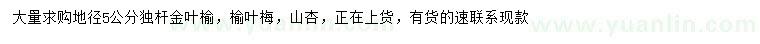 求購獨桿金葉榆、榆葉梅、山杏