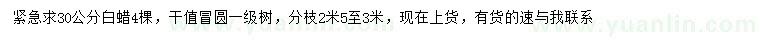 求購30公分白蠟