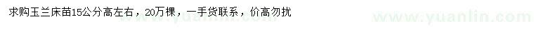 求購高15公分玉蘭