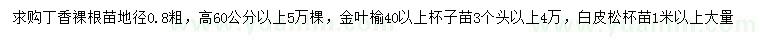 求購(gòu)丁香、金葉榆、白皮松
