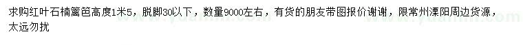 求購高1.5米紅葉石楠