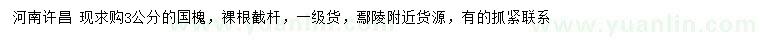 求購3公分國槐