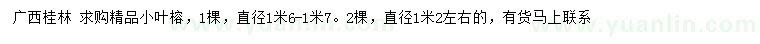 求購(gòu)直徑1.2、1.6-1.7米精品小葉榕