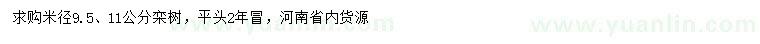 求購米徑9.5、11公分欒樹