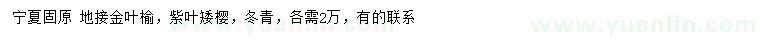 求購(gòu)金葉榆、紫葉矮櫻、冬青