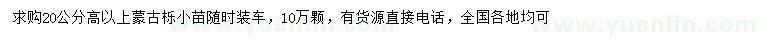 求購(gòu)高20公分以上蒙古櫟