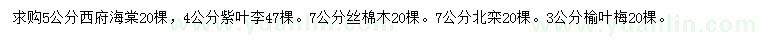 求購西府海棠、紫葉李、絲棉木等