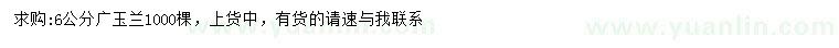 求購6公分廣玉蘭