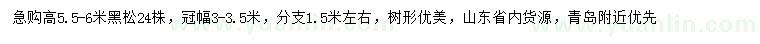 求購高5.5-6米黑松