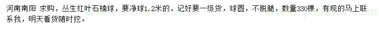 求購叢生紅葉石楠球