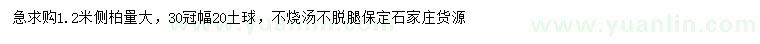 求購(gòu)1.2米側(cè)柏