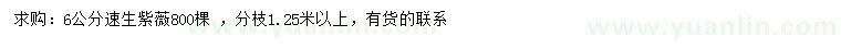 求購6公分速生紫薇