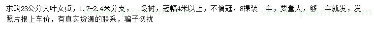 求購23公分大葉女貞