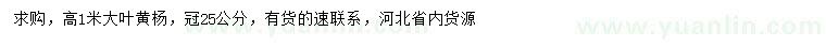 求購(gòu)高1米大葉黃楊