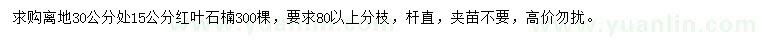 求購地徑30公分量15公分紅葉石楠