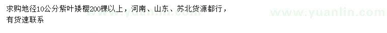 求購地徑10公分紫葉矮櫻