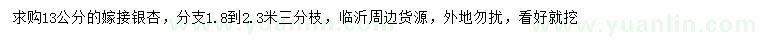 求購(gòu)13公分嫁接銀杏