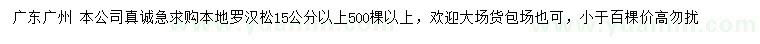 求購15公分以上羅漢松