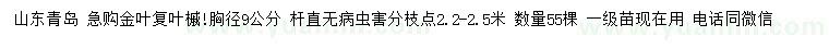 求購胸徑9公分金葉復(fù)葉槭