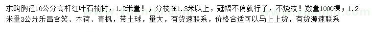 求購紅葉石楠、樂昌含笑、木荷等