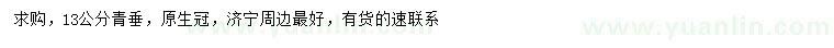 求購13公分青垂