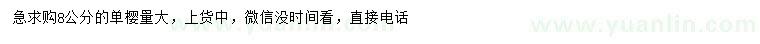 求購8公分單櫻
