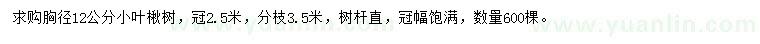 求購胸徑12公分小葉楸樹